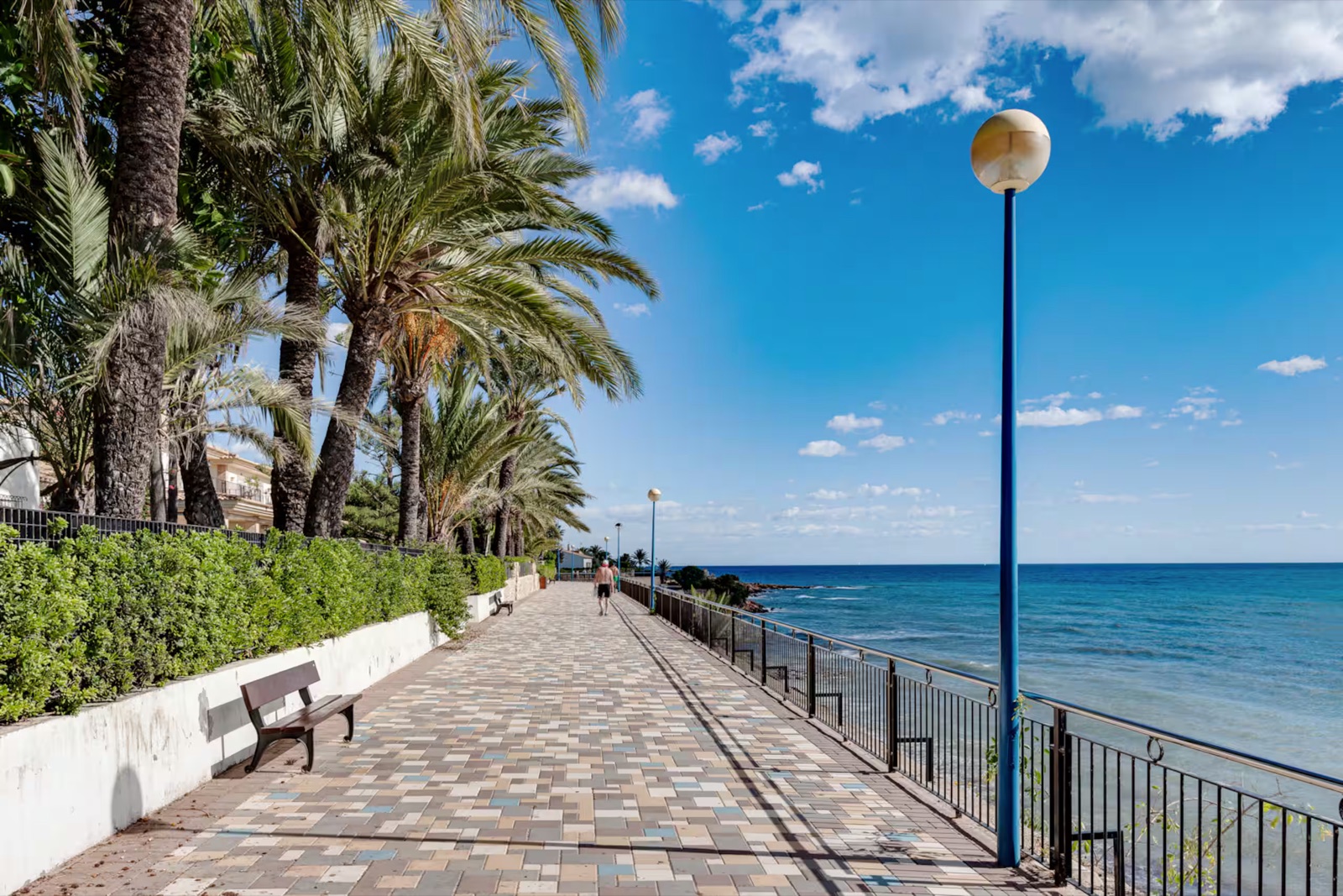 Alicante airport to Torrevieja and Punta Prima: bus, taxi, transfer or hire car